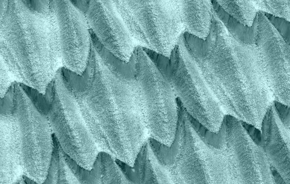 Motifs d'écailles de requin réalisées par texturation laser 3D